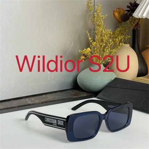 dior sunglass-046